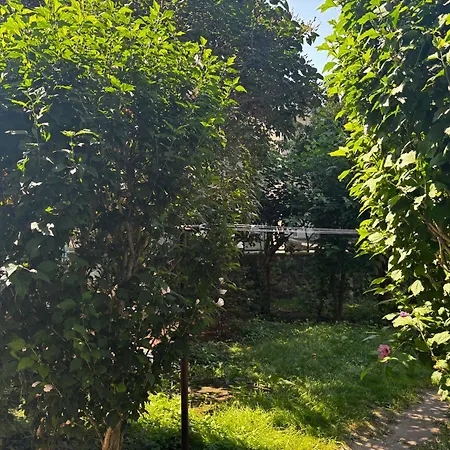 Appartamento Red Poppy *