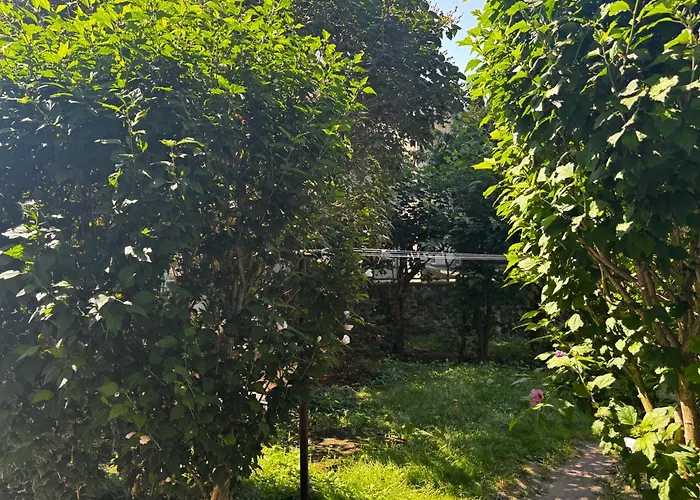 Appartamento Red Poppy *